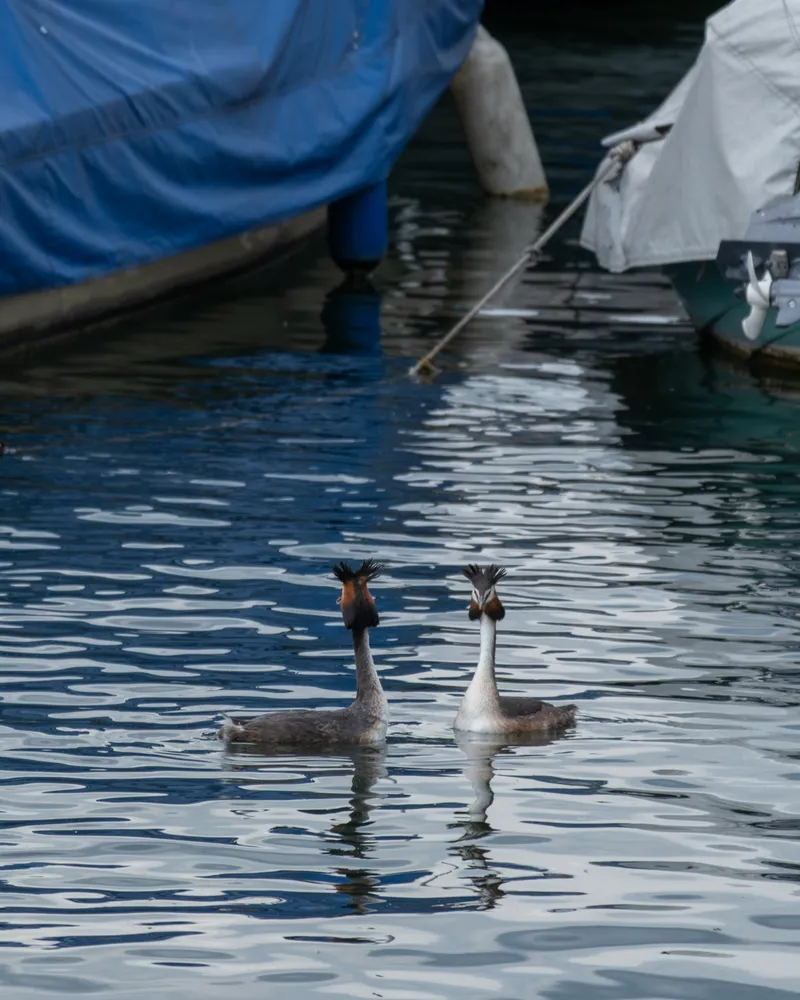 Zurich, Switzerland