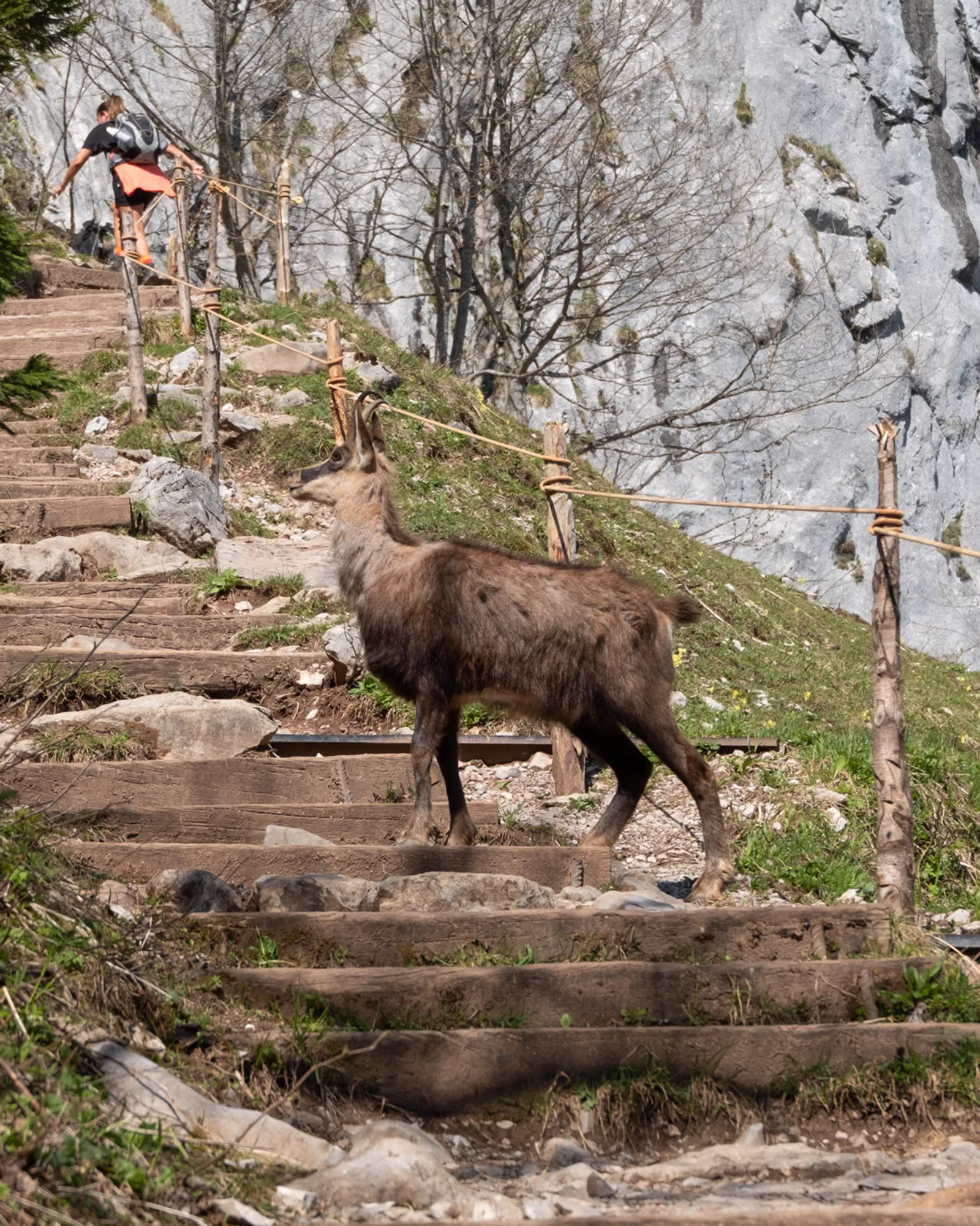 Grosser Mythen, Switzerland