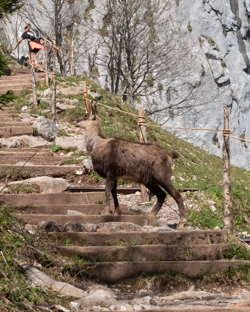 Grosser Mythen, Switzerland