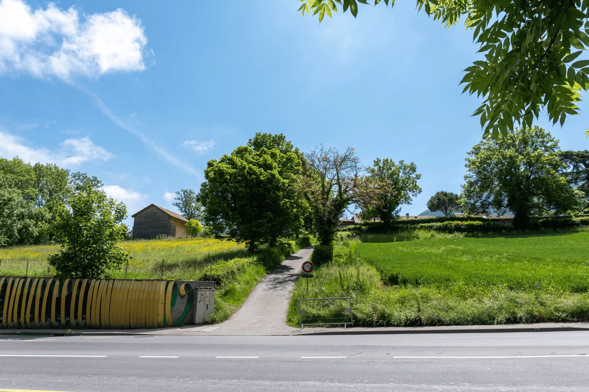 "A paved road leading uphill through a residential area"