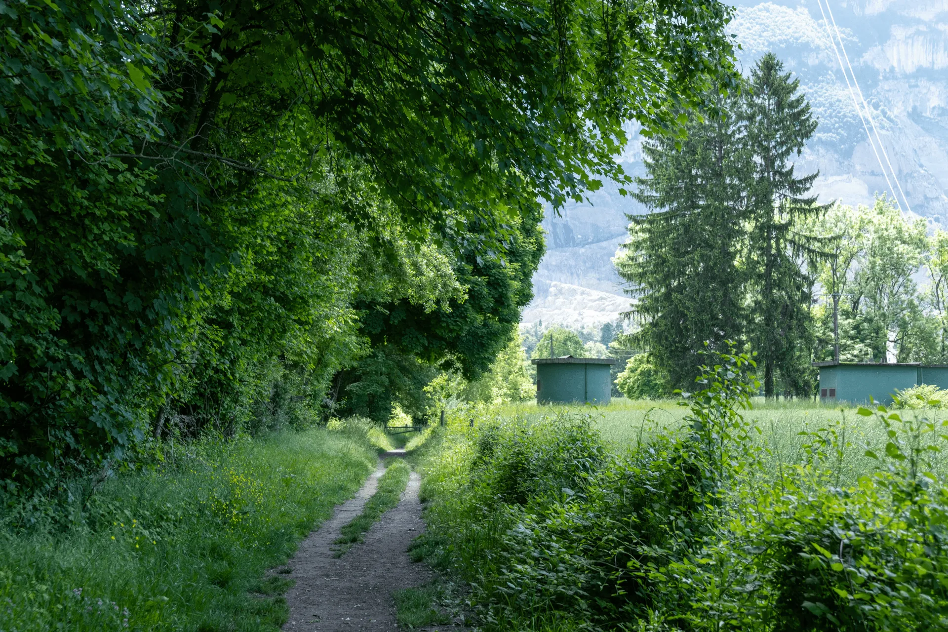 "A view down a trail with a gate visible in the distance"