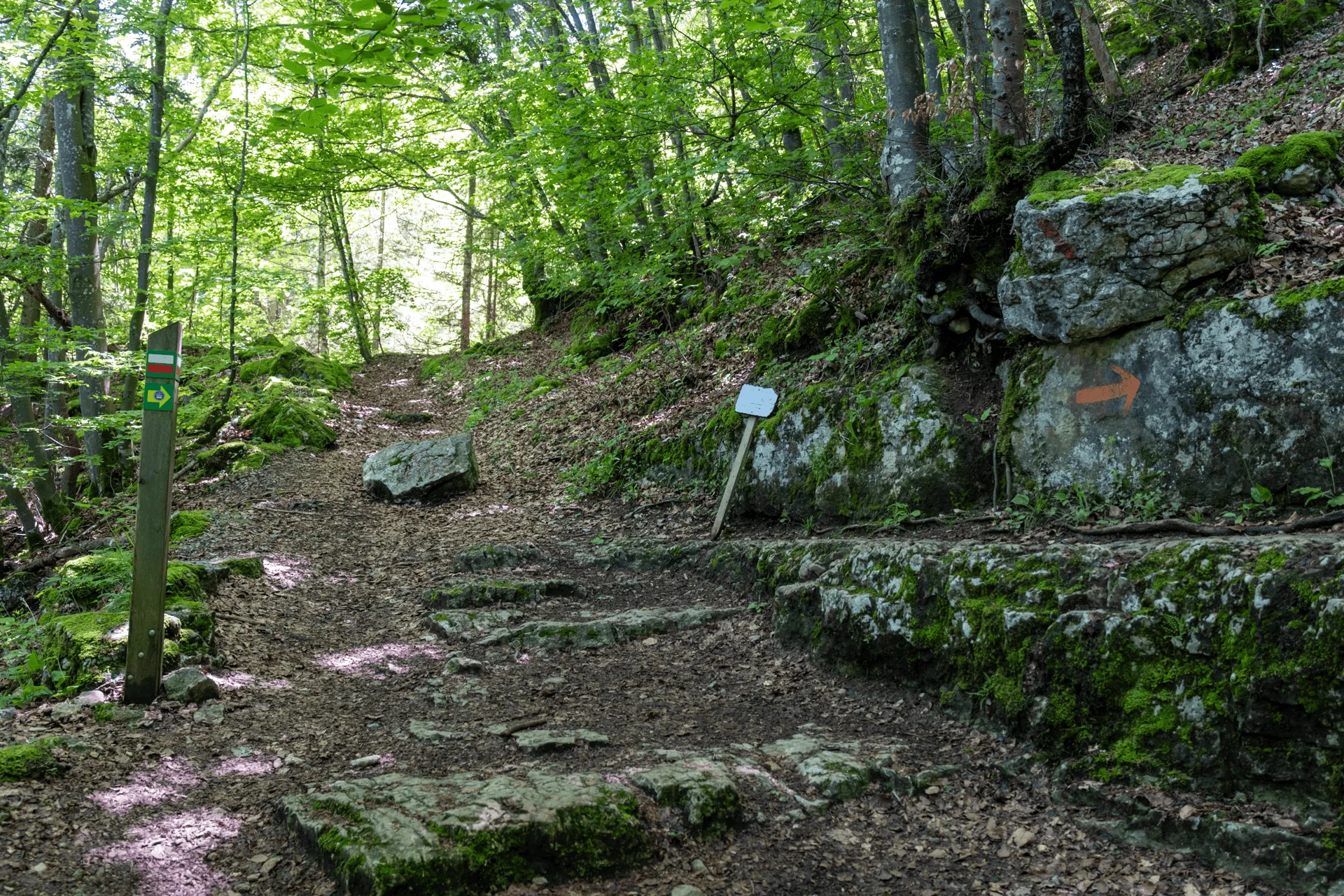 "A trail marker indicating a right turn"