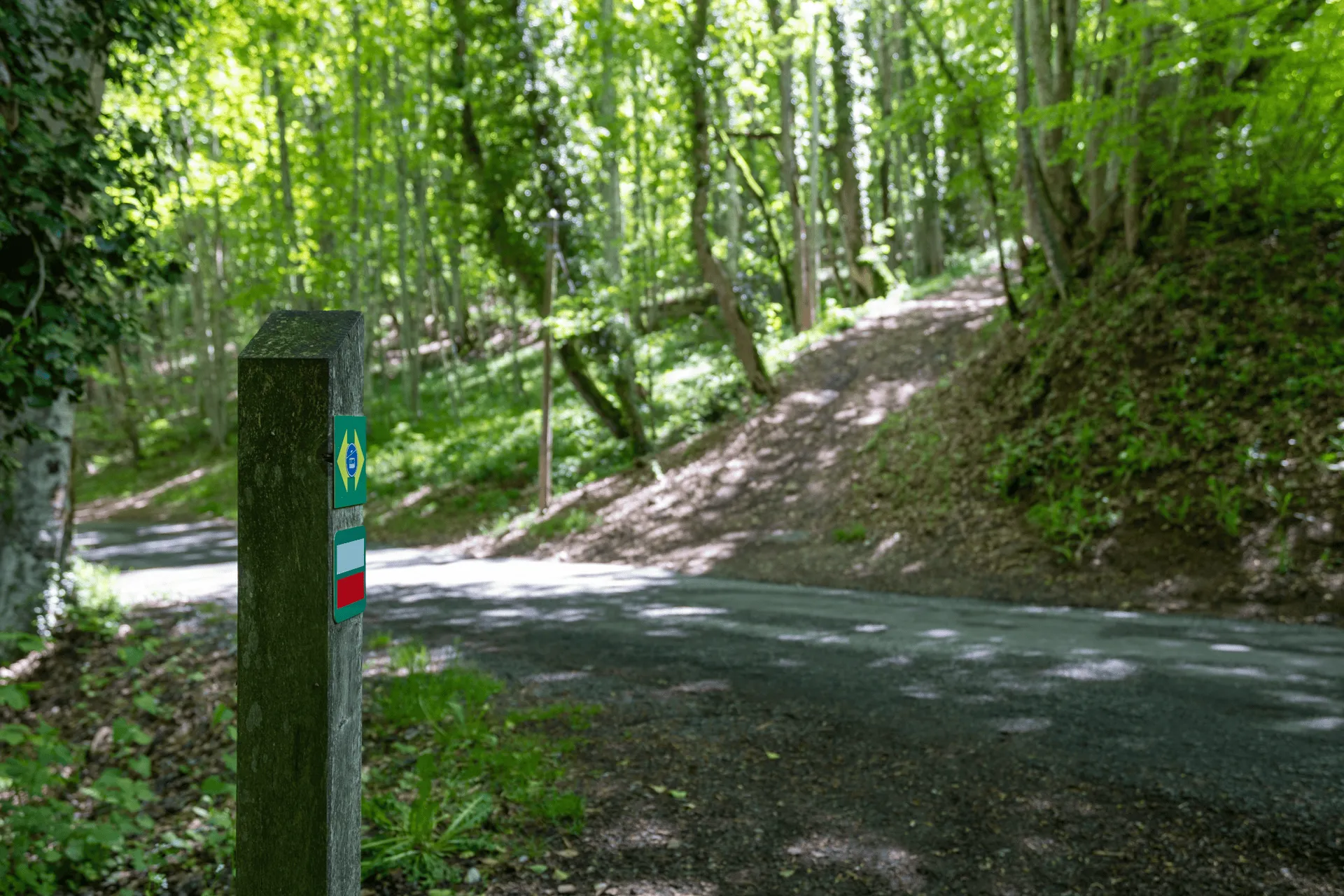 "A trail marker with red and white stripes"