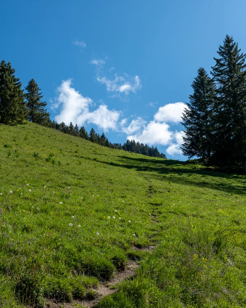 Rochers de Naye, Switzerland