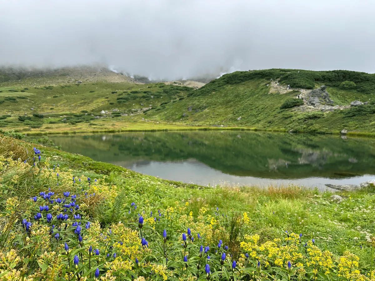 View of Mt Asahi