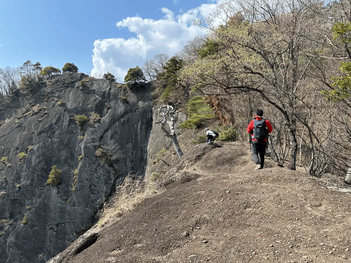 View of Mt Iwadono