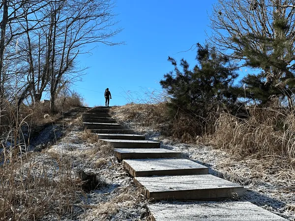 A guide to winter hiking in Tokyo (snow-free)