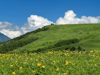 July hiking