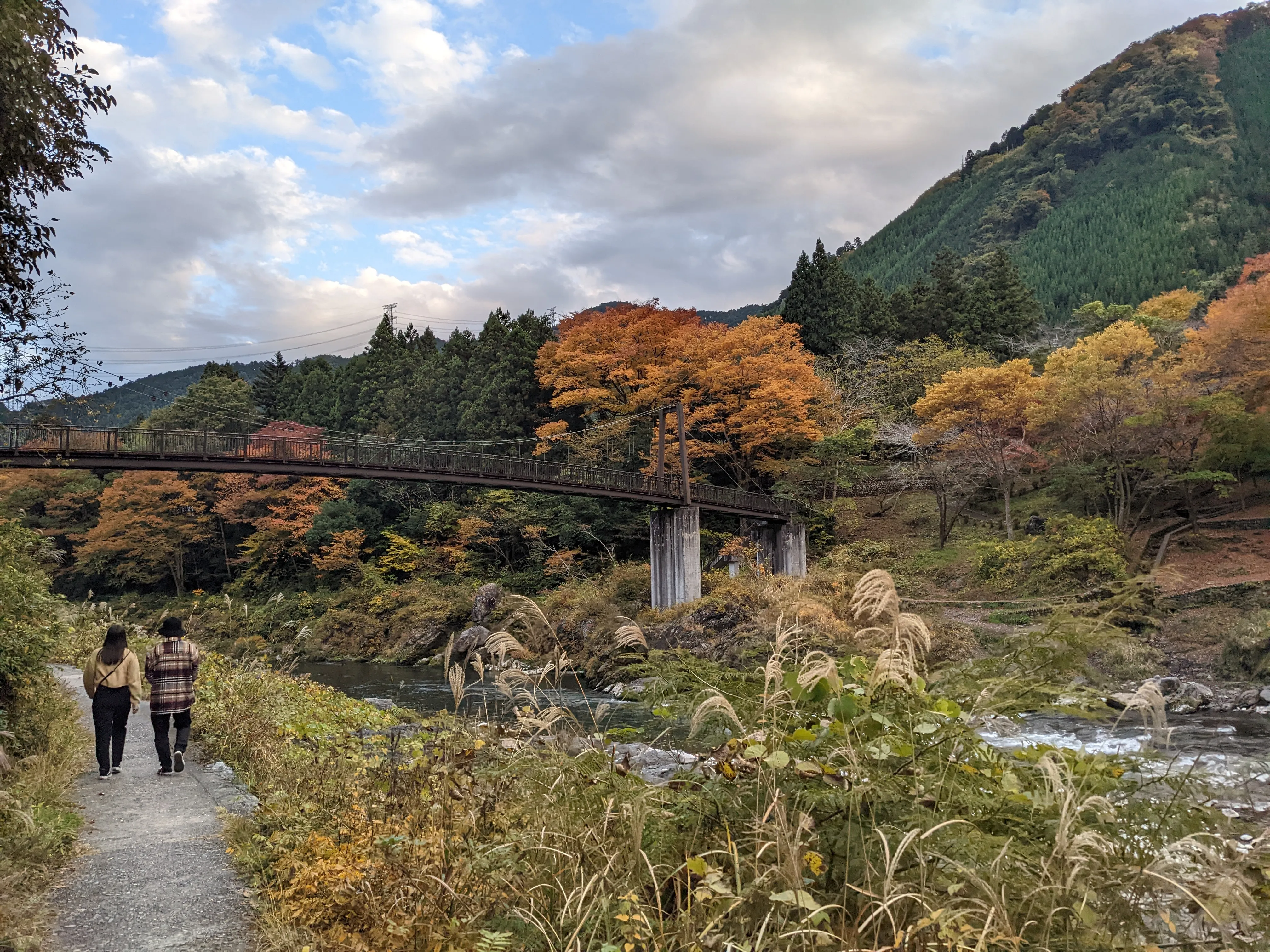 An autumnal walk alongside the Tamagawa, a large river.