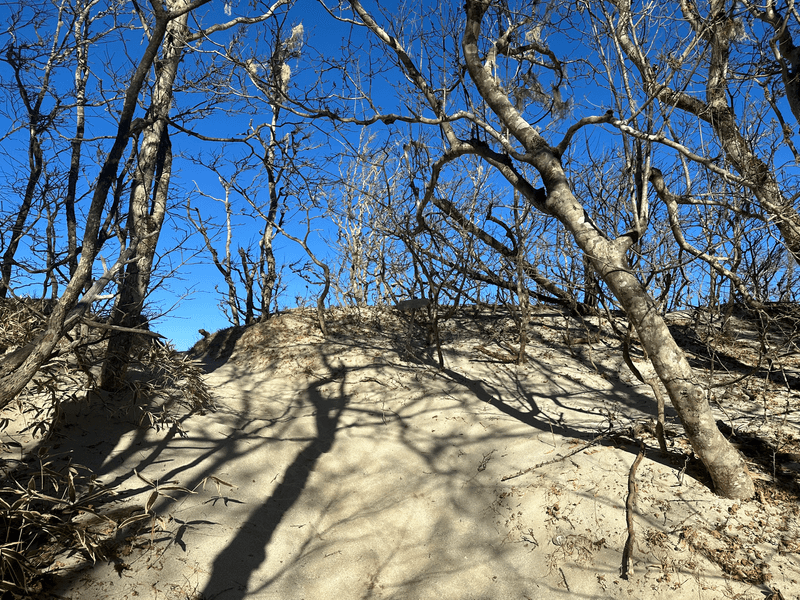 near summit