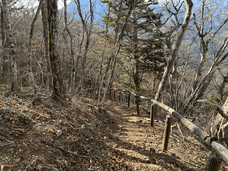 trail down