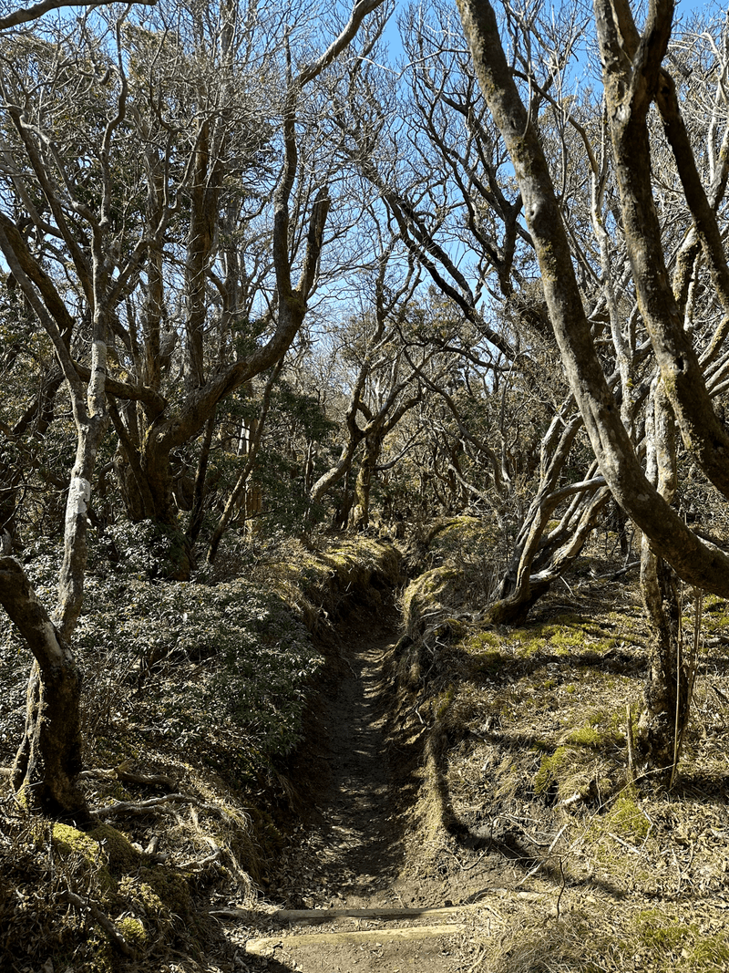 asebi tunnel