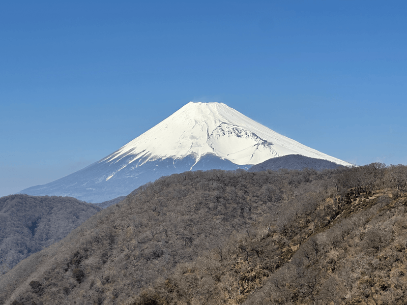 another fuji