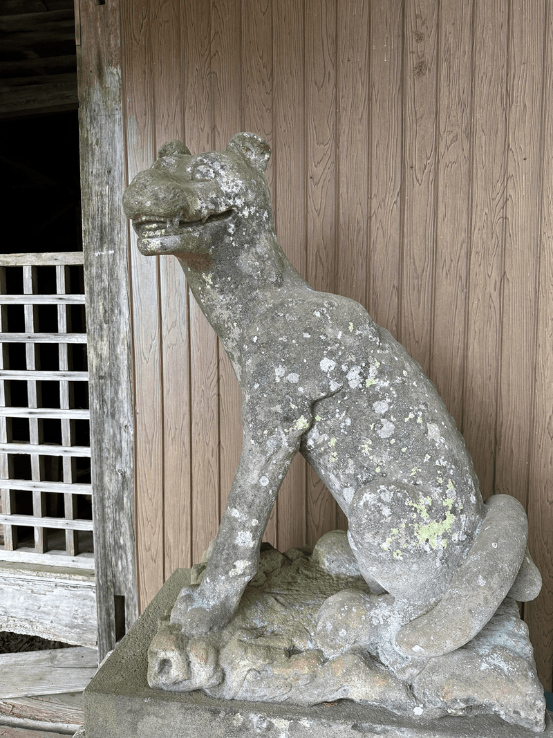 shrine dog