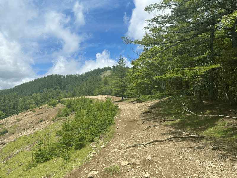more trail